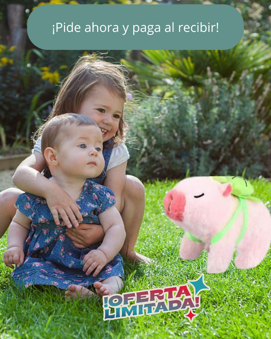 Capybara Interactivo