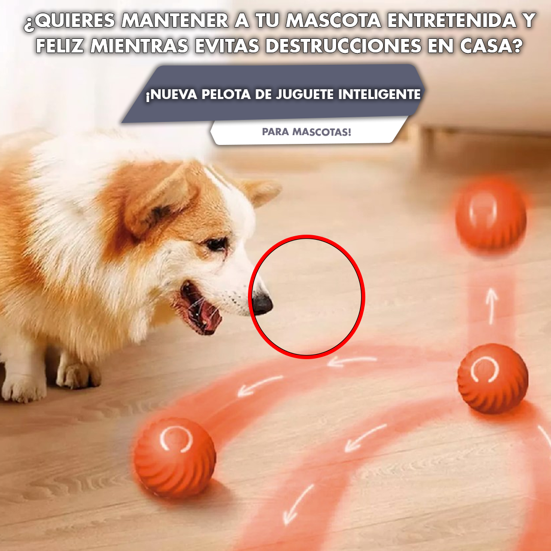 ¡NUEVA PELOTA DE JUGUETE INTELIGENTE PARA MASCOTAS!